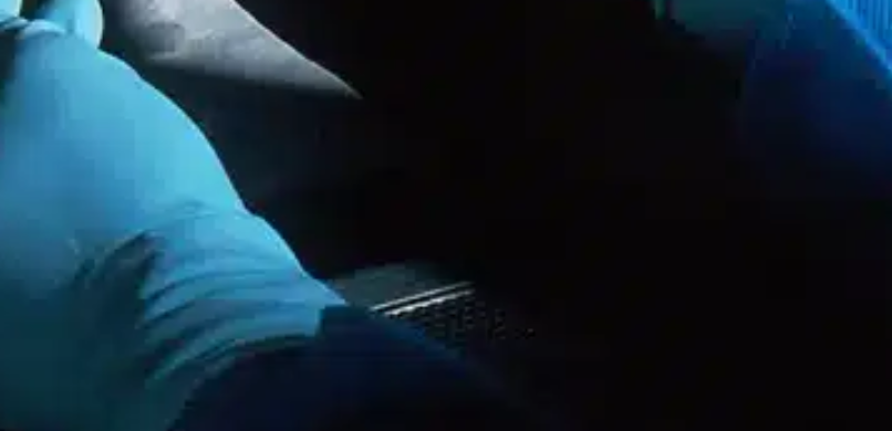 vsdfbfgnbghngfmghmhjmhj.png