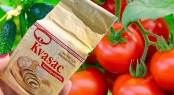 dfgnghnghmhjmhjmhjmh.png